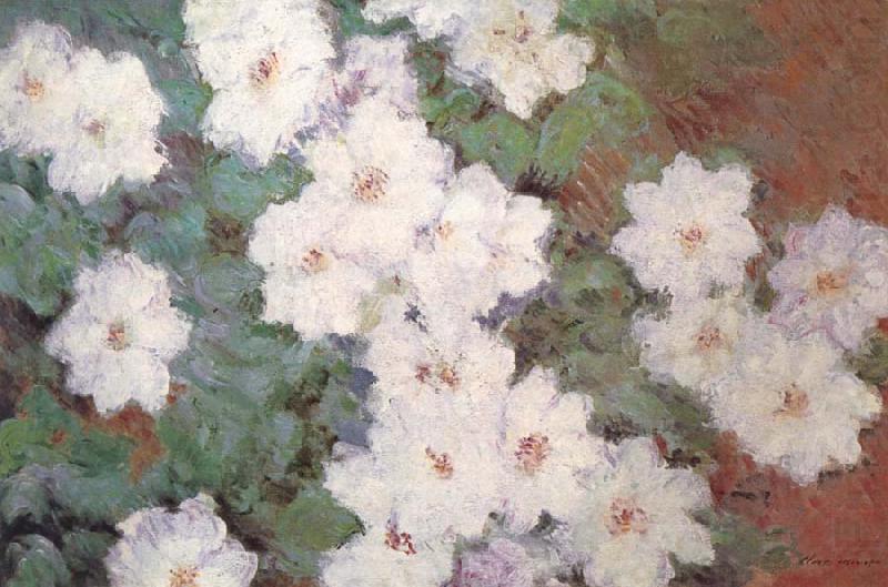 Claude Monet Clematis china oil painting image